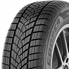 Cooper Winter (1B) 195/55 R 20 95H