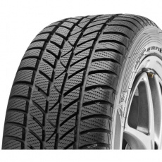 Hankook Winter i*cept RS W442 205/70 R 15 96T