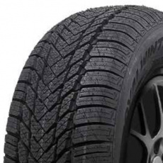 Royal Black Royal Winter HP 225/60 R 16 98H