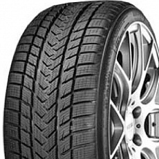 Gripmax Pro Winter 285/30 R 21 100V Gripmax Pro Winter 285/30 R 21 100V